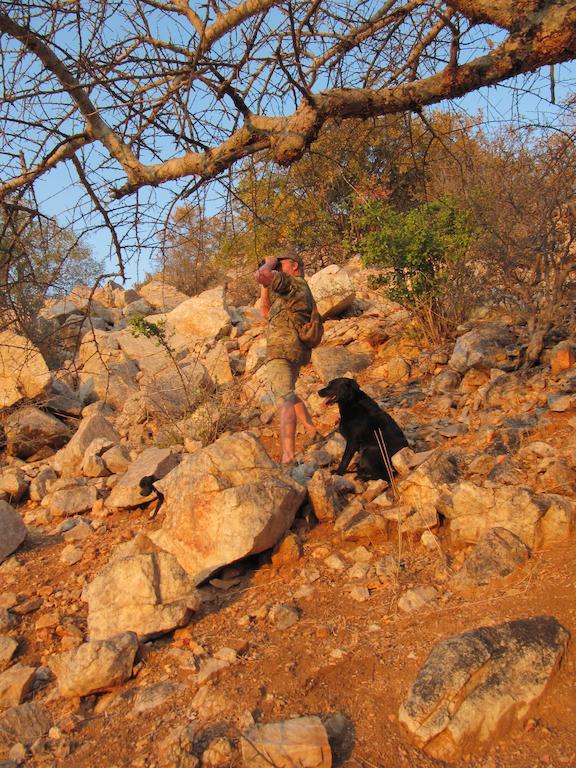 Adansonia Eco Lodge Musina Bagian luar foto