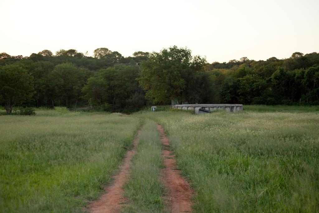 Adansonia Eco Lodge Musina Bagian luar foto
