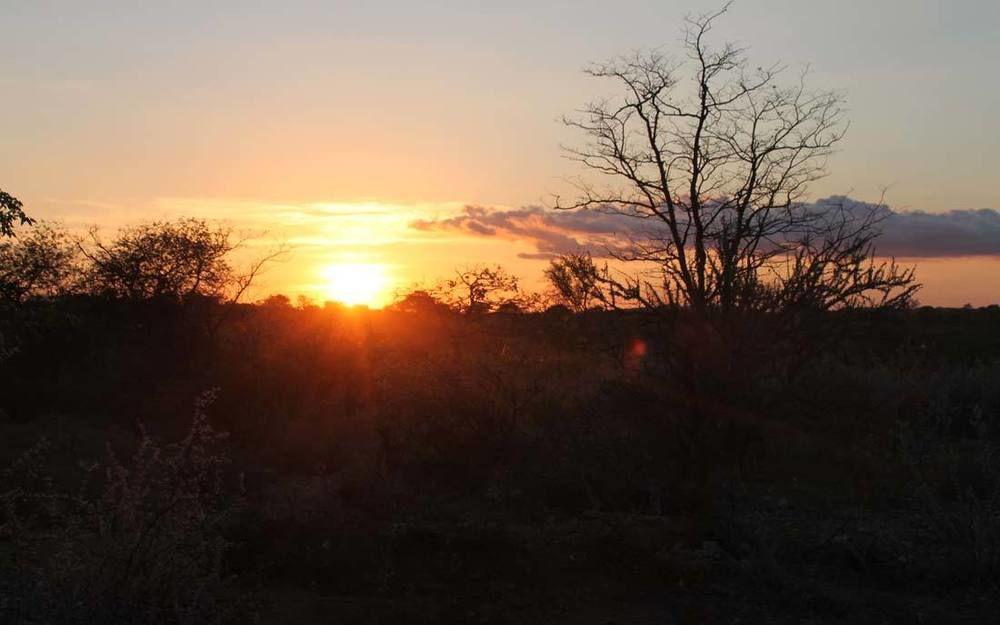 Adansonia Eco Lodge Musina Bagian luar foto