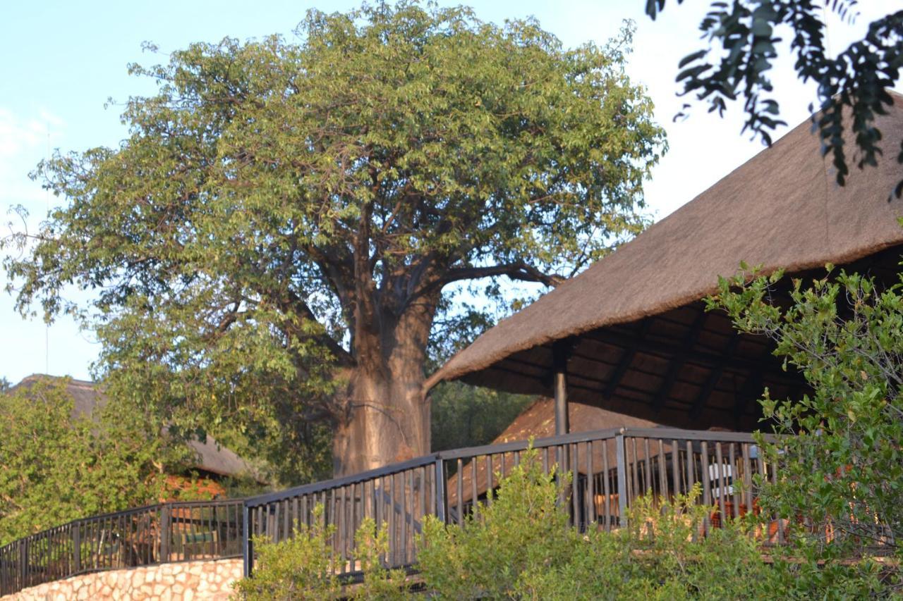 Adansonia Eco Lodge Musina Bagian luar foto