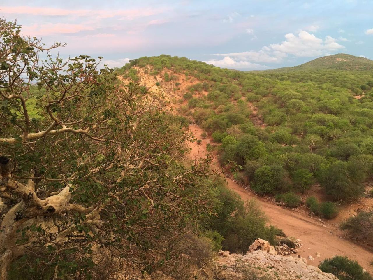 Adansonia Eco Lodge Musina Bagian luar foto