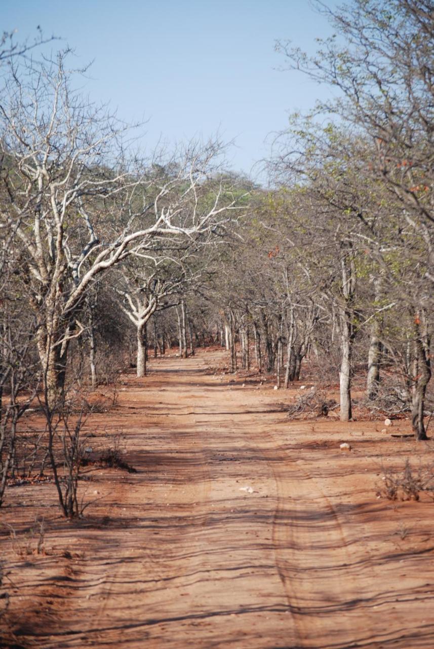 Adansonia Eco Lodge Musina Bagian luar foto